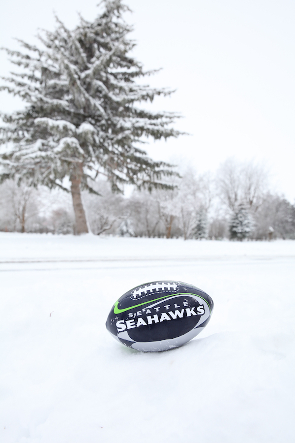 Seahawks Football in Snow